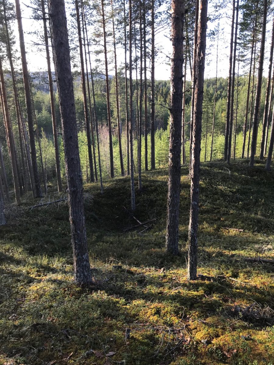 Fångstgrop Granö_op